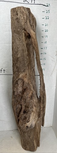 Driftwood Taxidermy Beach Lake Mountain House Wedding Reception Aquarium