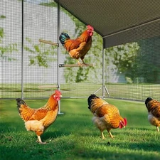 Belinova 8-Pack Chicken Perches Set - Durable Chicken Coop Accessories, Strong