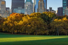 Central Park Sheep Meadow Skyscrapers Autumn New York City Photo Poster 12x18