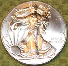 2015 American Silver Eagle - One Ounce of .999 Pure Silver