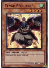 Yu-Gi-Oh: Tengu Reincarnated | EXVC-FR000 | Super Rare | EX | FR