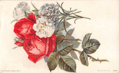 Lovely Red Roses & White Carnations on 1909 Postcard - No. 1085