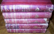 1900-1913 1914 1915 Auto Engineering Packard Cadillac Hudson Nash Ford Reo Buick