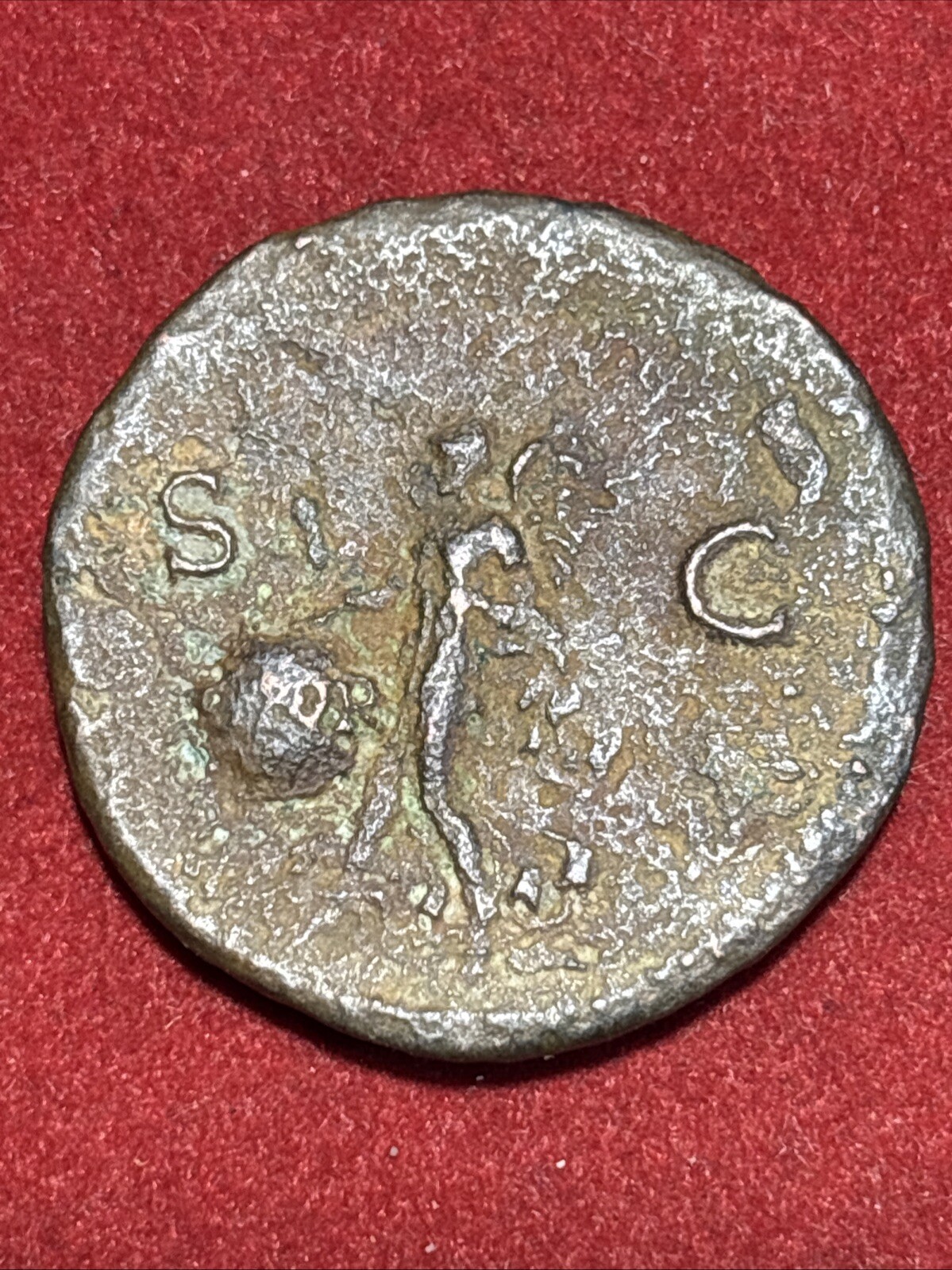 Picture 7 of 7