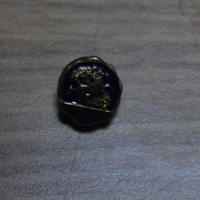 St. George Association USA Lapel Pin