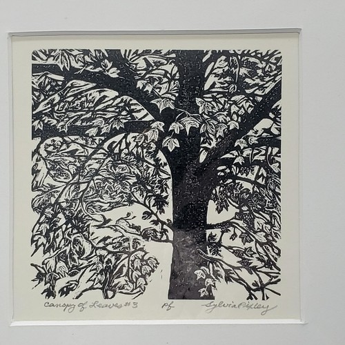 Sylvia Pixley "Canopy Of Leaves #3" Artist Proof Signed By Artist Matted