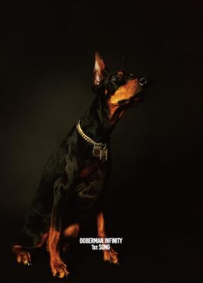 1st SONG CD+DVD ver Limited Edition by DOBERMAN INFINITY