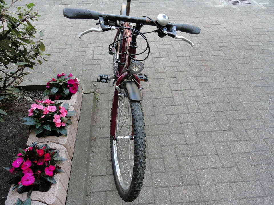 Raleigh Fahrrad  Original USA Mountainbike - Bild 4 von 4