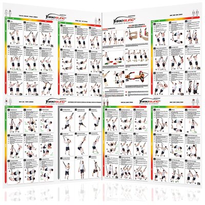 Sling Trainer Übungs Poster 2X DIN A1 Vor und Rückseite Workout Schlingentrainer