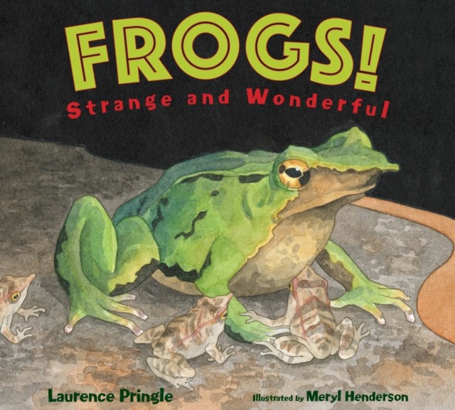 Frogs! L Pringle - Image 3