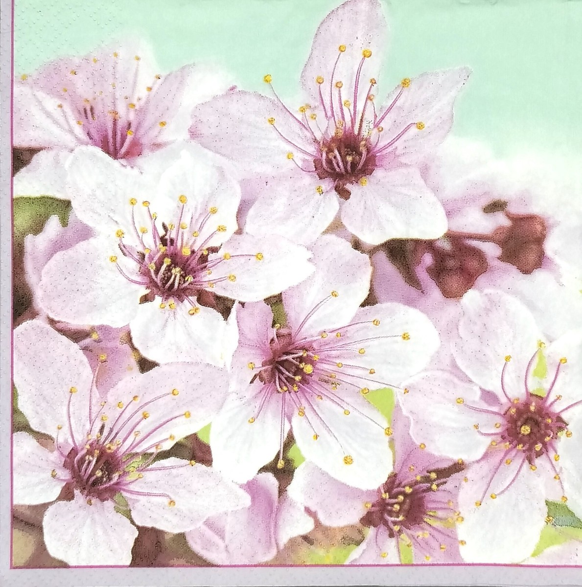 R654# 3 x Single Paper Napkins For Decoupage Pink Cherry