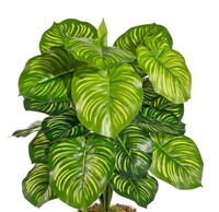 artplants Deko Pflanze Calathea Orbifolia Blahen, Steckstab, GrüN, 50Cm