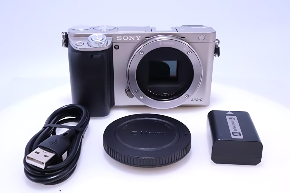 Sony Alpha a6000 Silver Mirrorless Digital Camera Body Only From