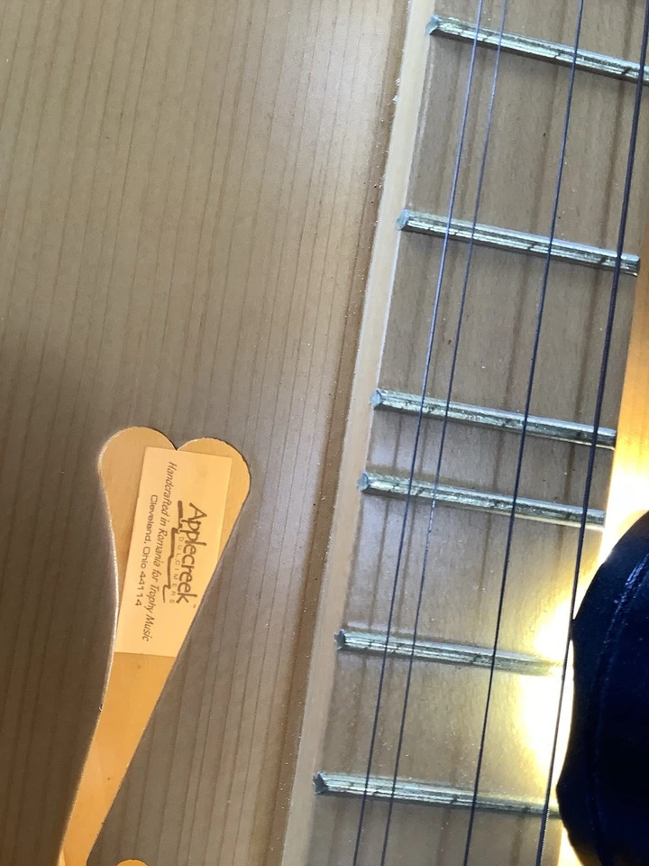 Applecreek Mountain Dulcimer ACD 100 Heart Sound Holes with Gig Bag - Image 3 of 4