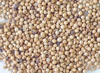 Organic white pepper. Vietnamese white pepper (200g)