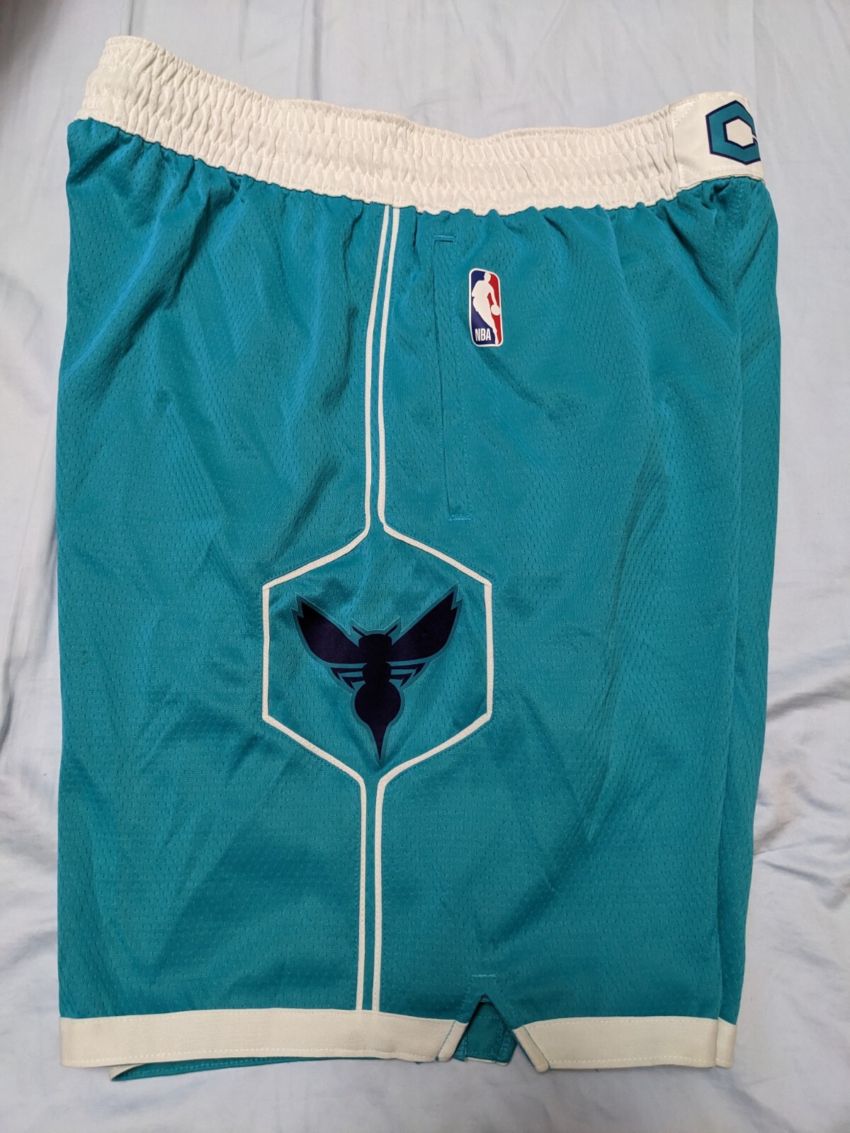 Charlotte Hornets Icon Edition Men's Jordan NBA Swingman Shorts LaMelo Men L 38