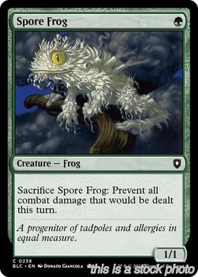 Spore Frog [BLC - 238MagicNM
