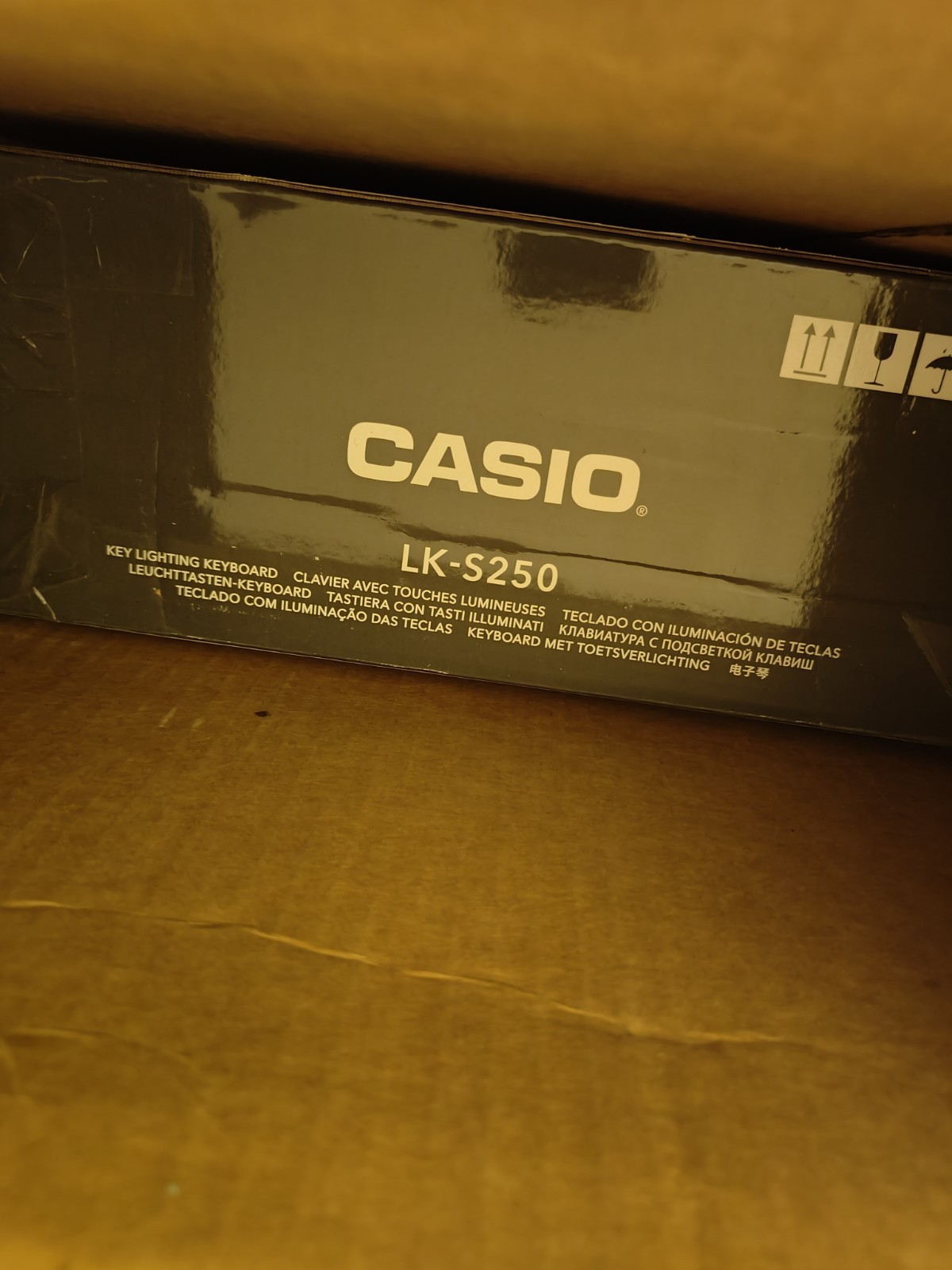 Casio LK-S250 Casiotone 61-Key Lighted Keyboard with Adjusta