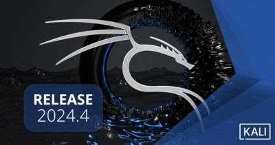 Kali Linux 2024.4 Live Bootable USB 3 with 45GB Persistence - Pentest Distro