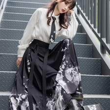 Hanfu Chinese Women's Traditional Dress Embroidered Skirt Horse Face Pony Skirt