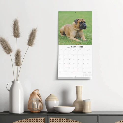 Mastiffs 2025 Square Wall Calendar