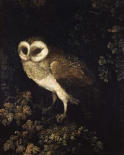 18th Century Owl Painting Reproduction Giclee Print on Fine Art Paper