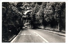 FOREST ROAD, TARPORLEY