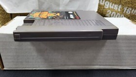 DOUBLE DRAGON III THE SACRED STONES NINTENDO NES VIDEO GAME NO BOX OR MANUAL