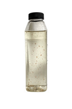 Live Fresh Water Food. Daphnia and Moina