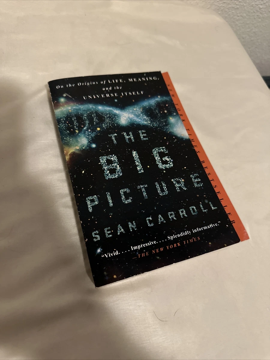 The Big Picture: On the Origins of Life, Meaning, and the Universe Itself:  Carroll, Sean: 9781101984253: : Books