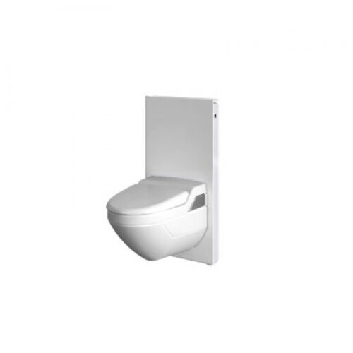 Geberit Monolith Sanitärmodul für Wand-WC, 101cm, Wasseranschluss seitlich, mit - Bild 3 von 8