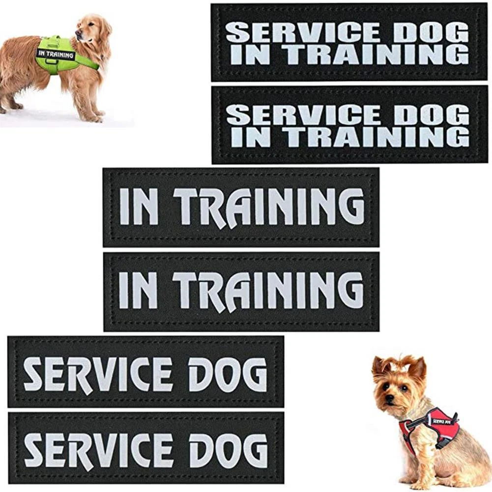 How Much Do Service Dog Trainers Make