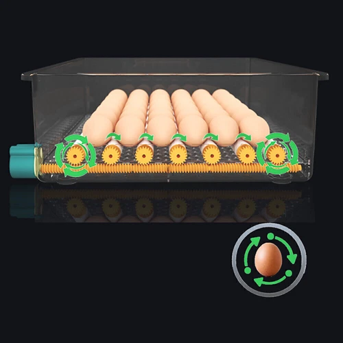 36x Egg Digital Incubator Hatcher Temperature Control Fully Automatic Turning - Picture 7 of 13