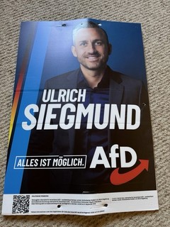 Original AfD Politik Wahlplakat Ulrich Siegmund „Alles ist möglich“ 84 x59cm
