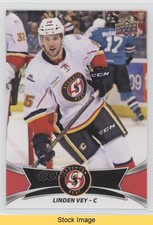 2016-17 Upper Deck AHL Red Linden Vey #73 READ z6b