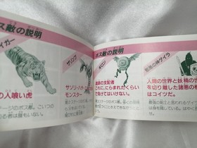 Irem Spelunker IIChallenge to the Brave Famicom Software