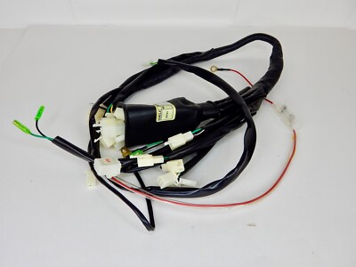 WIRING HARNESS FOR TAO TAO BULL 200 ATV *OEM*