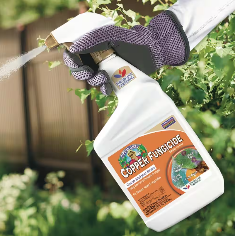 Bonide Captain Jack's Copper Fungicide 32 oz. eBay