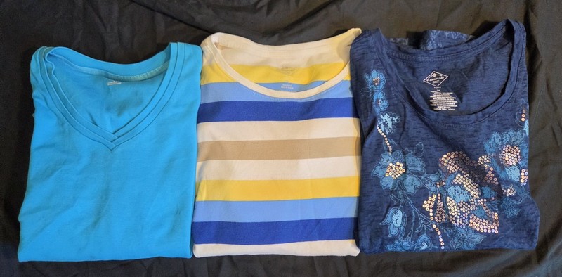 Lot of 3 Women's T Shirts Size Petite Large All In EXCELLENT condition!