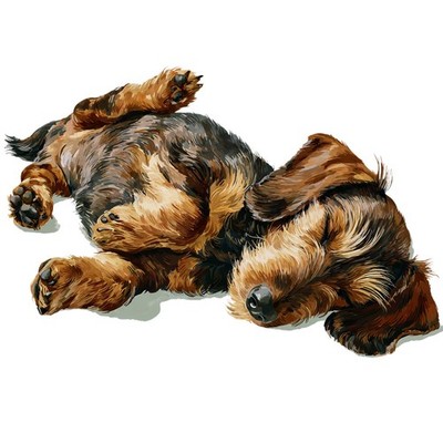 6x Sticker Dachshund Car Sticker 9x9cm Teckel Dachshund Dog Cute Set