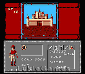 Dungeon Magic - Classic NES Nintendo Game