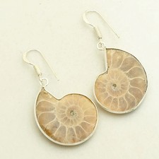 Ammonite Fossil Gemstone Handmade Drop Dangle Earrings Jewelry 1.6