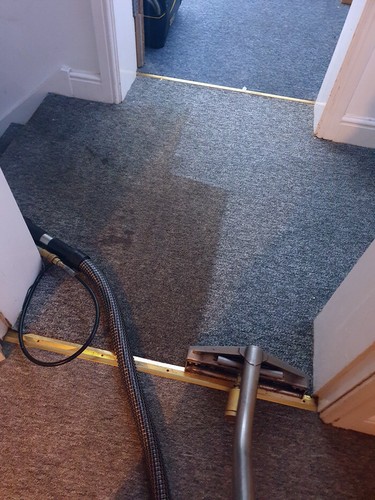 Premium Carpet & Upholstery Cleaner (5 Litres) - Picture 2 of 5