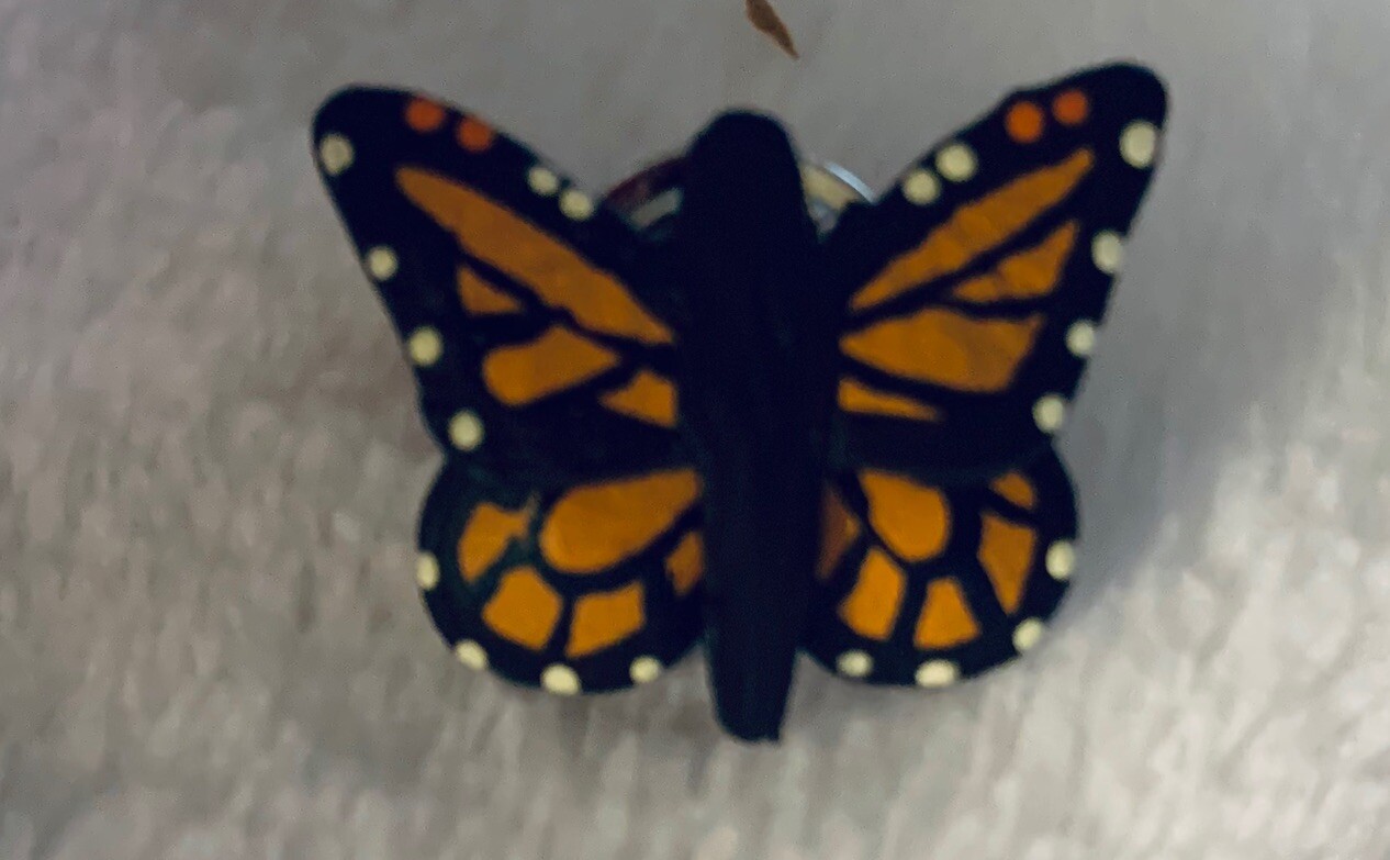 Picture 2 of 13