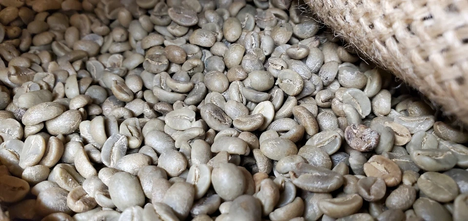 GRANOS DE CAFÉ VERDE PERUANO PERUANO DE GRAN ALTITUD DE 5 LIBRAS - ARÁBIGA orgánico Foto 4 de 4