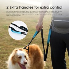 Hands Free Dog Bungee Leash Adjustable Waist Pouch for 2 Dogs Walking Running