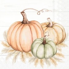 Boston International - Pumpkin Trio Cocktail Napkins - C1022800