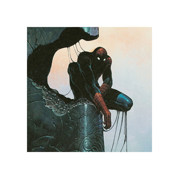 17x22 Print - Homage to Spider-Man Sci-Fi Fantasy Art Poster 0719 17x22 Print - Homage to Spider-Man Sci-Fi Fantasy Art Poster 0719