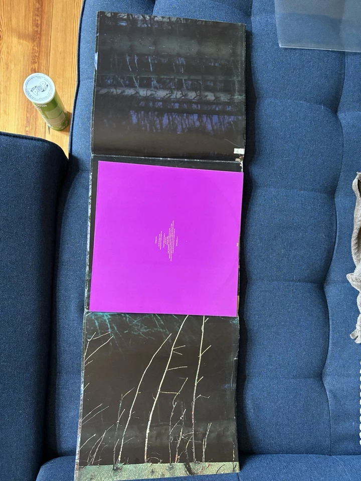 LP Cranberries Vinyl The Faithful Departed Special Edition 1996 Poster LP Cover - Bild 4 von 4