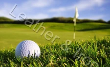 Golf Design Vinyl Checkbook Cover Golfers